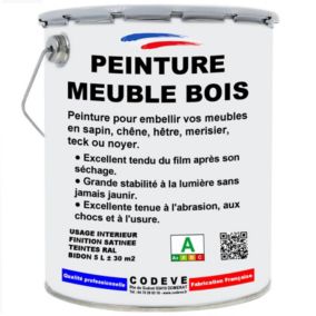Peinture Meuble Bois - 5 L   - Codeve Bois - RAL 3000 - Rouge feu