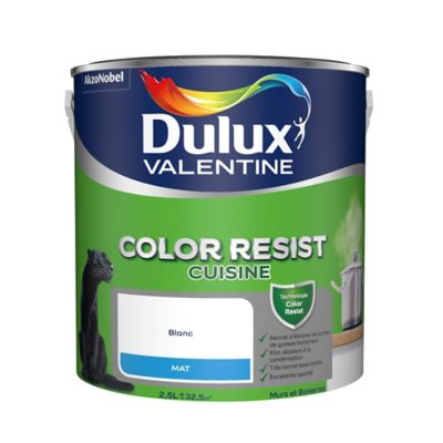 Peinture Monocouche Cuisine Murs Et Boiseries Dulux Valentine Color Resist Blanc Mat 2 5l Castorama