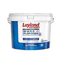 Peinture monocouche murs et plafonds Leyland haute performance blanc mat 10L
