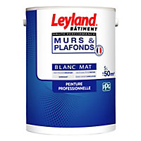 Peinture monocouche murs et plafonds Leyland haute performance blanc mat 5L
