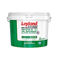 Peinture monocouche murs et plafonds Leyland haute performance blanc satin 10L