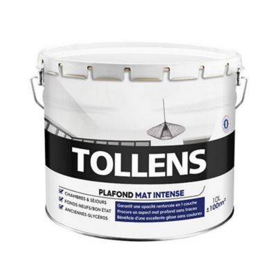 Peinture monocouche plafonds Tollens blanc mat intense 10L Castorama