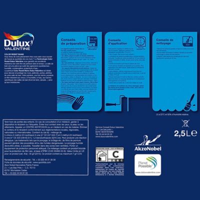 Peinture Monocouche Salle De Bains Dulux Valentine Color Resist Blanc Satin 2 5l Castorama
