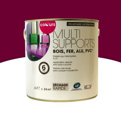 Peinture spray acrylique - Pinty Plus - Gris Fer RAL 7011 - 400ml