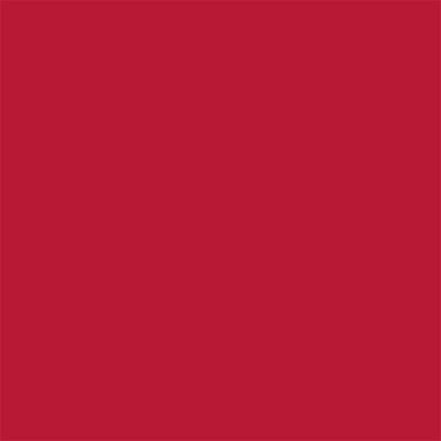 Peinture multi supports extérieure garantie 8 ans Dulux Valentine satin rouge coquelicot 2L