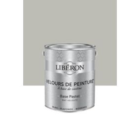 Peinture multisupport murs, plafonds et boiseries Velours de peinture gris pleurotte Libéron 2,5L
