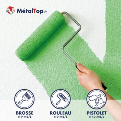 Peinture Mur Cuisine - Gris noir - RAL 7021 - 1 L - Métaltop