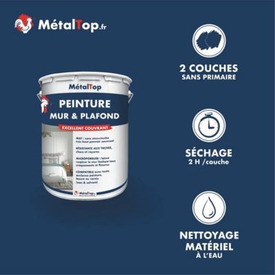 Peinture Mur Et Plafond - Gris noir - RAL 7021 - 1 L - Métaltop