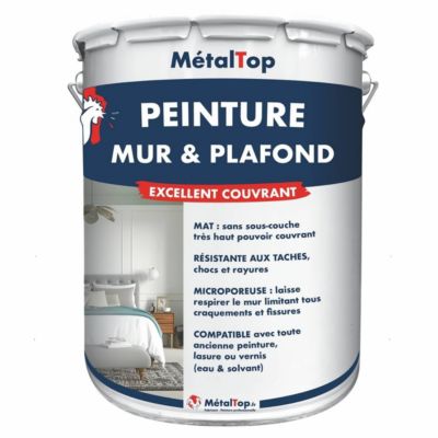 Peinture Mur Et Plafond - Ivoire - Ton pierre - RAL 1015 - 5 L - Métaltop
