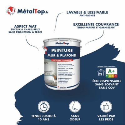 Peinture Mur Et Plafond - Ivoire - Ton pierre - RAL 1015 - 5 L - Métaltop