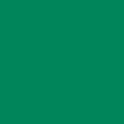 Peinture Mur Et Plafond - Vert de sécurité - RAL 6032 - 1 L - Métaltop