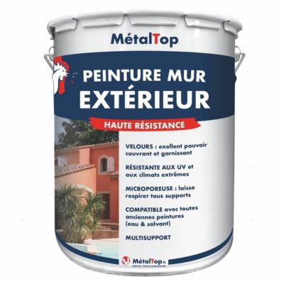 Peinture Mur Exterieur - Bleu clair - RAL 5012 - 15 L - Métaltop