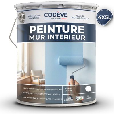 Peinture Mur Interieur - 20 L   - Codeve Bois - RAL 9005 - Noir foncé