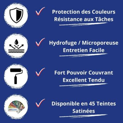 Peinture Mur Interieur - 20 L   - Codeve Bois - RAL 9005 - Noir foncé