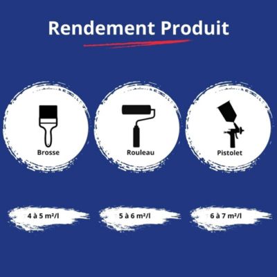 Peinture Mur Interieur - 20 L   - Codeve Bois - RAL 9005 - Noir foncé