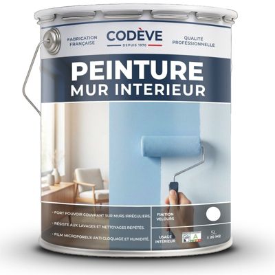 Peinture Mur Interieur - 5 L - Codeve Bois - RAL 7001 - Gris argent ...