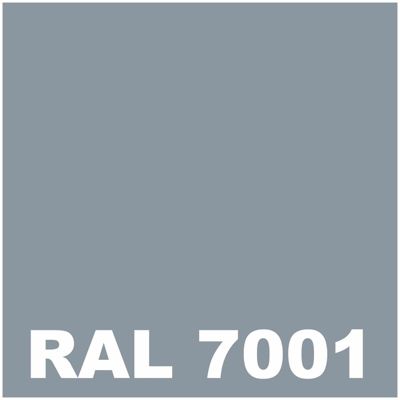 Peinture Mur Interieur - 5 L - Codeve Bois - RAL 7001 - Gris argent ...