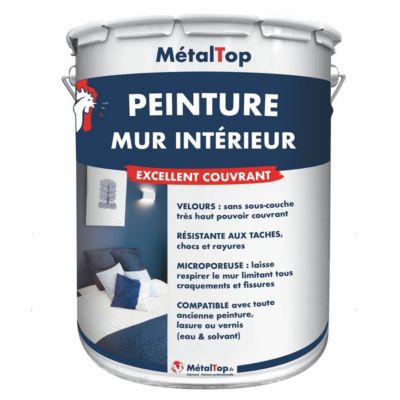 Peinture Mur Interieur - Gris noir - RAL 7021 - 1 L - Métaltop