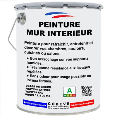 Peinture Mur Interieur Ton Pierre - 20 L   - Codeve Bois - RAL 1015 - Ivoire clair