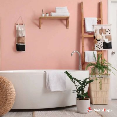 Peinture Mur Salle De Bain - Blanc pur - RAL 9010 - 1 L - Métaltop