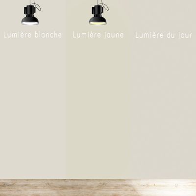 Peinture Mur Velours - Vert Claire - Interieur - 1l