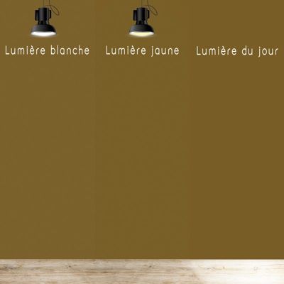 Peinture Mur Velours - Vert Kaki - Interieur - 2,5l