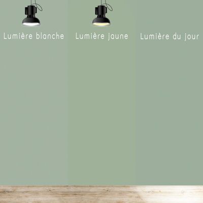 Peinture Mur Velours - Vert Sauge - Interieur - 1l