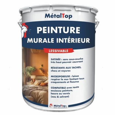 Peinture Murale Interieur - Noir signalisation - RAL 9017 - 5 L - Métaltop