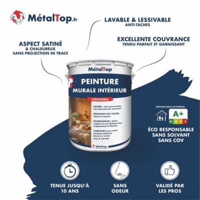 Peinture Murale Interieur - Noir signalisation - RAL 9017 - 5 L - Métaltop
