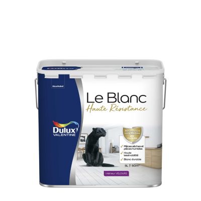 Peinture murale le Blanc Dulux Valentine haute résistance velours blanc