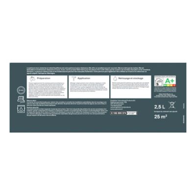 Peinture murs, boiseries et métal intérieur GoodHome satin base C 2,5L