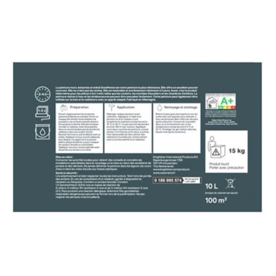 Peinture murs, boiseries et métal intérieur GoodHome Velours base C 10L