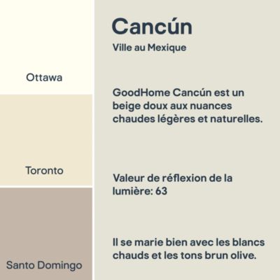 Peinture murs, boiseries et radiateurs beige cancún mat GoodHome Premium 2.5 L