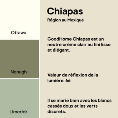 Peinture murs, boiseries et radiateurs beige chiapas mat GoodHome Premium 2.5 L