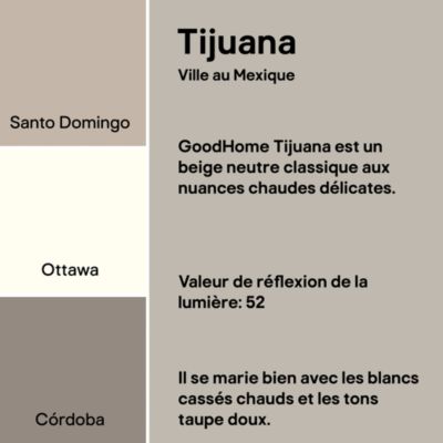 Peinture murs, boiseries et radiateurs beige tijuana mat GoodHome Premium 2.5 L