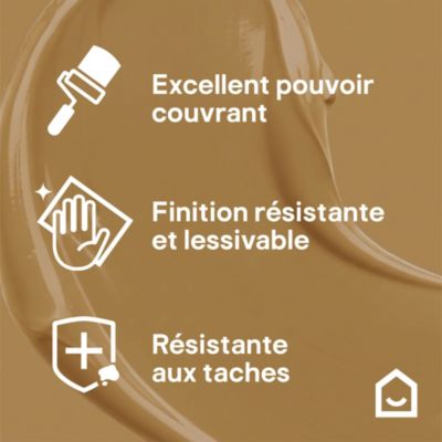 Peinture murs, boiseries et radiateurs blanc nerja mat GoodHome Premium 2.5 L