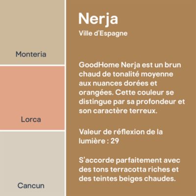 Peinture murs, boiseries et radiateurs blanc nerja mat GoodHome Premium 2.5 L