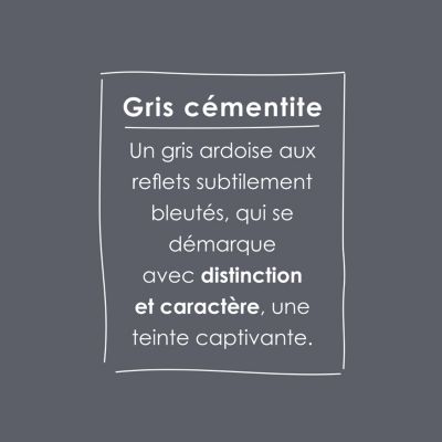 Peinture murs, boiseries et radiateurs gris cémentite satin velouté Ripolin O'pur 2 L