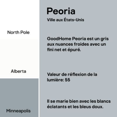 Peinture murs, boiseries et radiateurs gris peoria mat GoodHome Premium 2.5 L