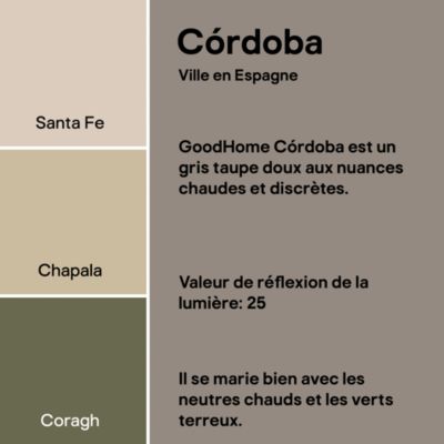 Peinture murs, boiseries et radiateurs marron cordoba satin GoodHome Premium 2.5 L