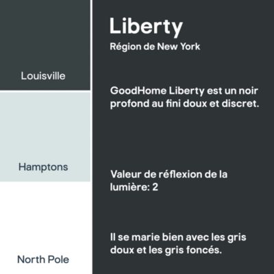 Peinture murs, boiseries et radiateurs noir liberty mat GoodHome Premium 2.5 L
