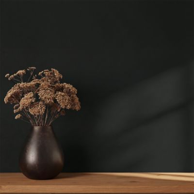 Peinture murs, boiseries et radiateurs noir liberty satin GoodHome Premium 2.5 L