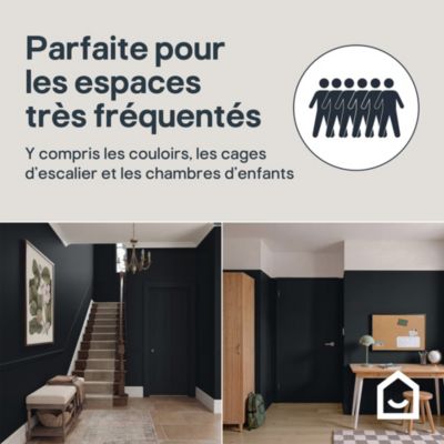 Peinture murs, boiseries et radiateurs noir liberty velours GoodHome Premium 2.5 L