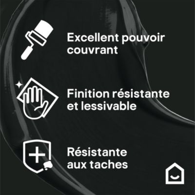 Peinture murs, boiseries et radiateurs noir liberty velours GoodHome Premium 2.5 L