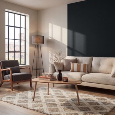 Peinture murs, boiseries et radiateurs noir liberty velours GoodHome Premium 2.5 L