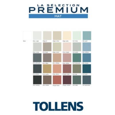 Peinture murs, boiseries et radiateurs noir smoking mat Tollens Premium 2.5 L