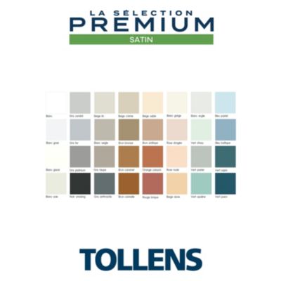 Peinture murs, boiseries et radiateurs noir smoking satin Tollens Premium 2.5 L