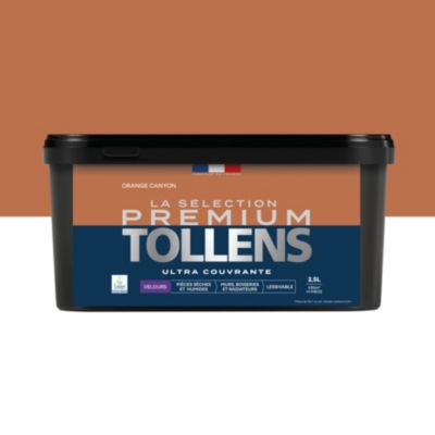 Peinture murs, boiseries et radiateurs orange canyon velours Tollens Premium 2.5 L