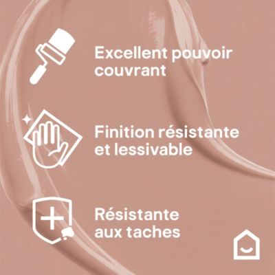 Peinture murs, boiseries et radiateurs orange terracotta totana velours GoodHome Premium 2.5 L