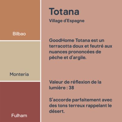 Peinture murs, boiseries et radiateurs orange terracotta totana velours GoodHome Premium 2.5 L